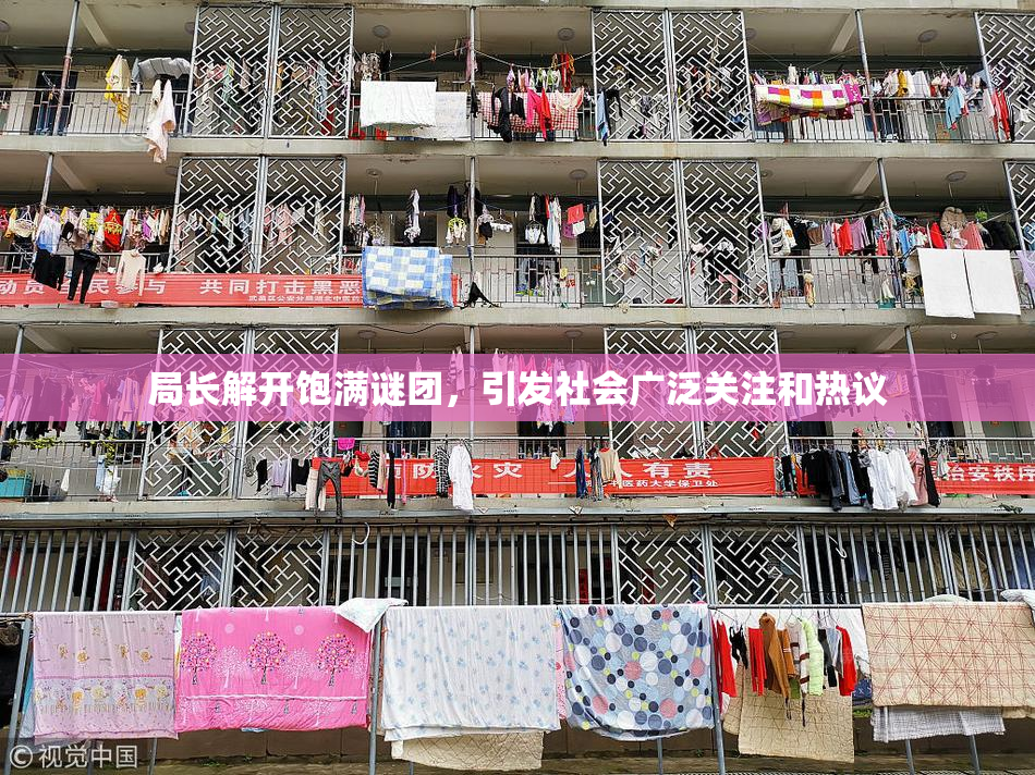 局长解开饱满谜团，引发社会广泛关注和热议