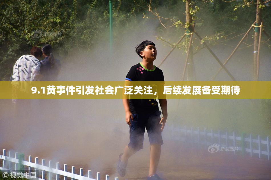 9.1黄事件引发社会广泛关注，后续发展备受期待