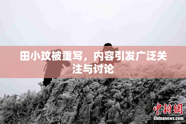 田小玟被重写，内容引发广泛关注与讨论