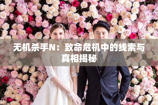 无机杀手N：致命危机中的线索与真相揭秘