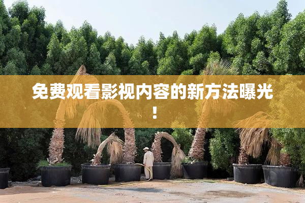 免费观看影视内容的新方法曝光！