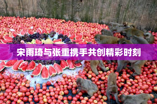 宋雨琦与张重携手共创精彩时刻