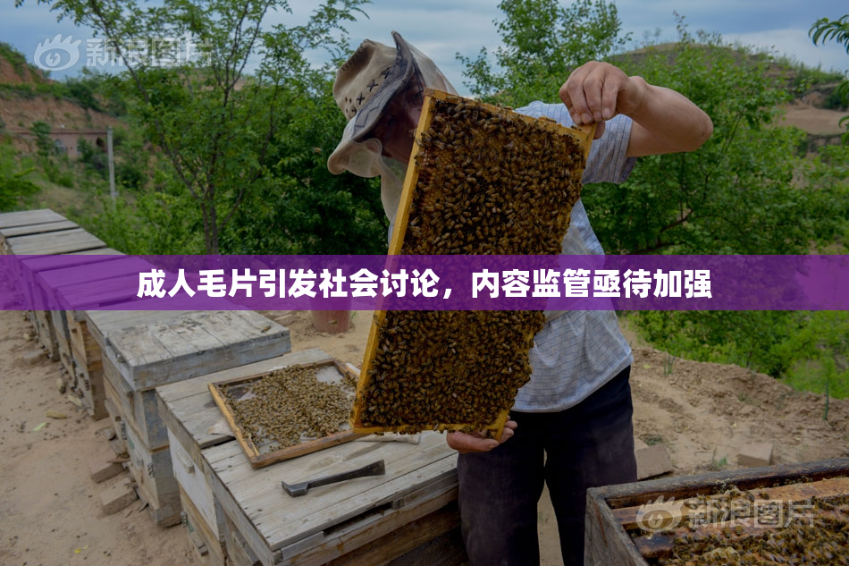 成人毛片引发社会讨论，内容监管亟待加强