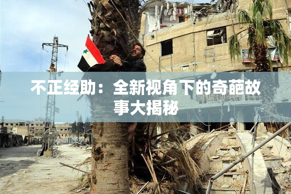 不正经助：全新视角下的奇葩故事大揭秘