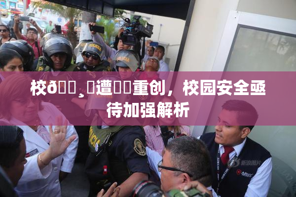 校🌸‌遭❌‌重创，校园安全亟待加强解析