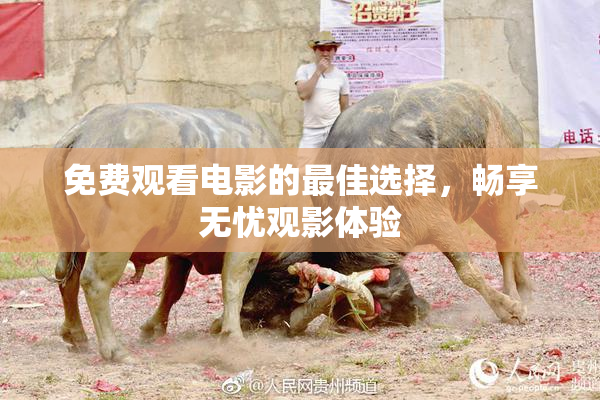 免费观看电影的最佳选择，畅享无忧观影体验