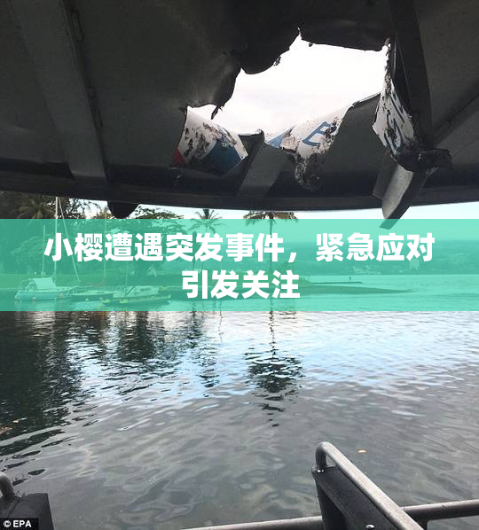 小樱遭遇突发事件，紧急应对引发关注