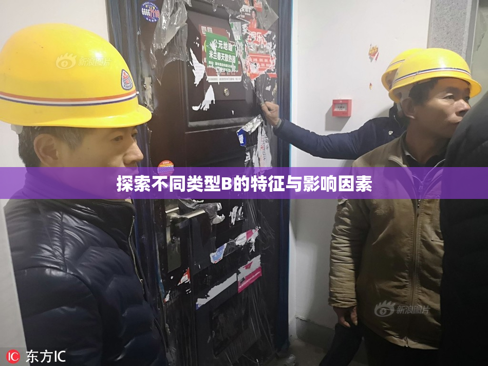 探索不同类型B的特征与影响因素