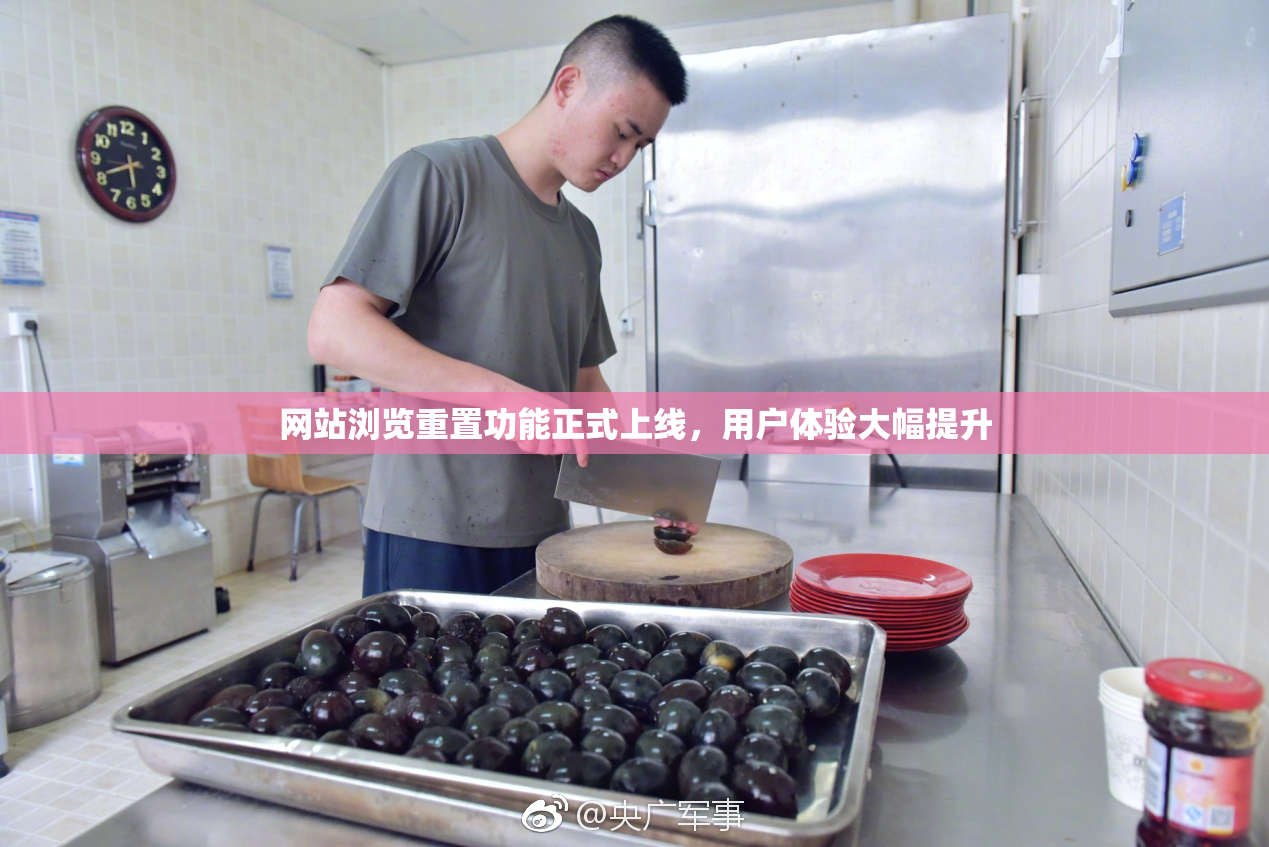 网站浏览重置功能正式上线，用户体验大幅提升