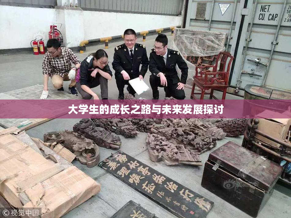 大学生的成长之路与未来发展探讨