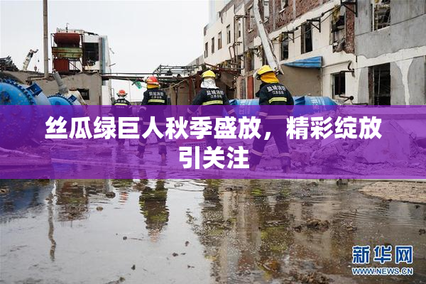 丝瓜绿巨人秋季盛放，精彩绽放引关注
