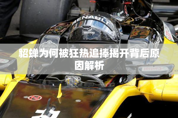 貂蝉为何被狂热追捧揭开背后原因解析