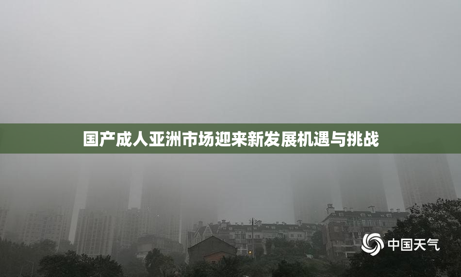 国产成人亚洲市场迎来新发展机遇与挑战