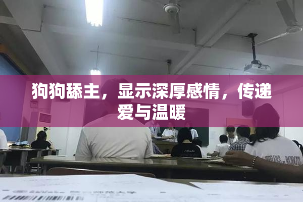 狗狗舔主，显示深厚感情，传递爱与温暖