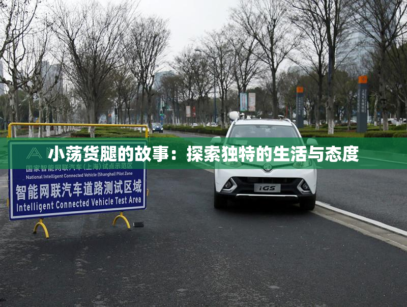 小荡货腿的故事：探索独特的生活与态度
