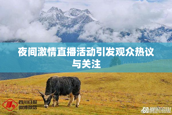 夜间激情直播活动引发观众热议与关注