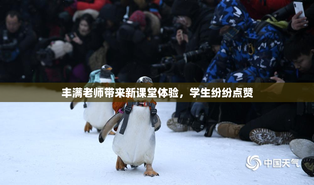丰满老师带来新课堂体验，学生纷纷点赞
