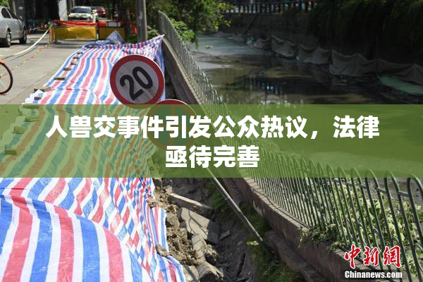 人兽交事件引发公众热议，法律亟待完善