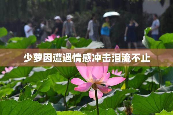 少萝因遭遇情感冲击泪流不止