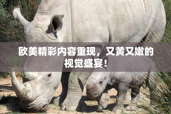欧美精彩内容重现，又黄又嫩的视觉盛宴！