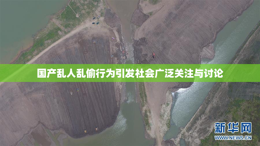 国产乱人乱偷行为引发社会广泛关注与讨论