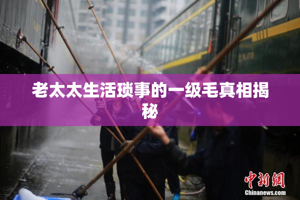 老太太生活琐事的一级毛真相揭秘