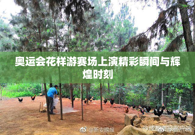 奥运会花样游赛场上演精彩瞬间与辉煌时刻