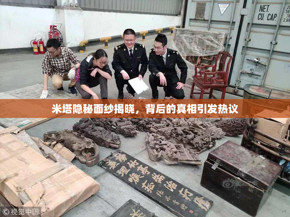 米塔隐秘面纱揭晓，背后的真相引发热议