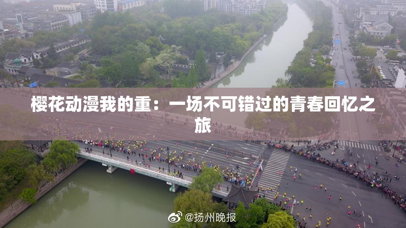 樱花动漫我的重：一场不可错过的青春回忆之旅