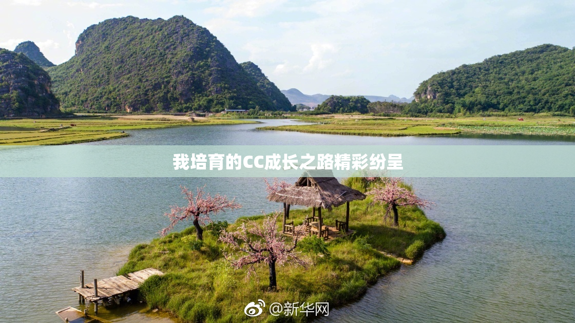 我培育的CC成长之路精彩纷呈