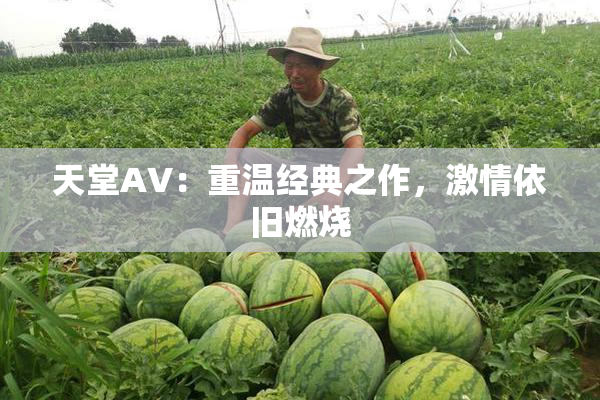 天堂AV：重温经典之作，激情依旧燃烧