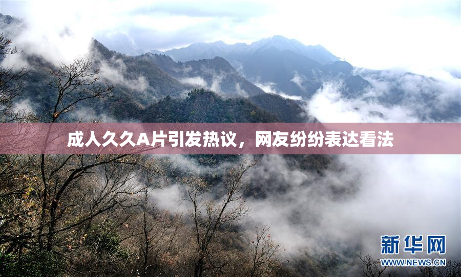 成人久久A片引发热议，网友纷纷表达看法