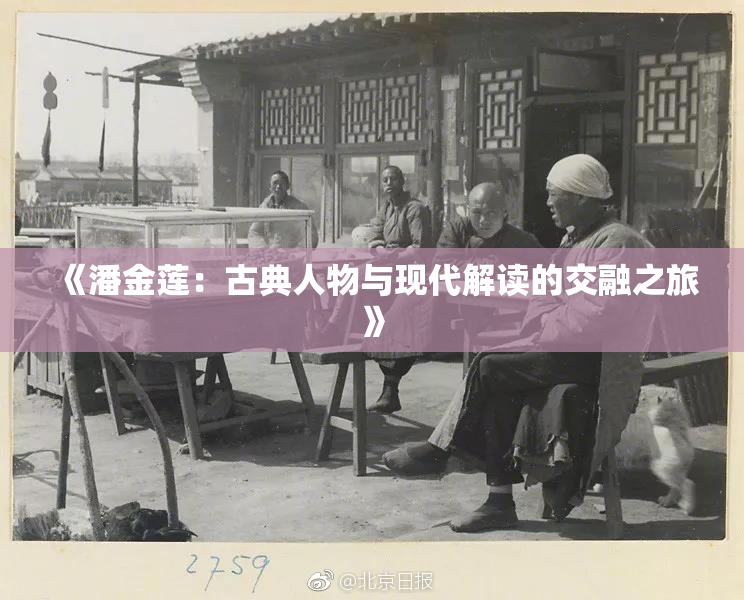 《潘金莲：古典人物与现代解读的交融之旅》