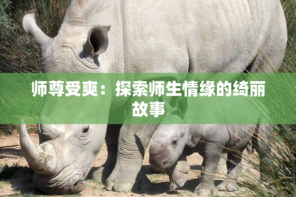 师尊受爽：探索师生情缘的绮丽故事