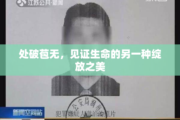 处破苞无，见证生命的另一种绽放之美