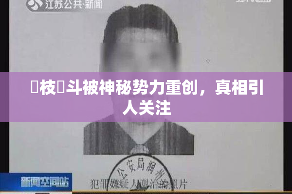 狛枝凪斗被神秘势力重创，真相引人关注