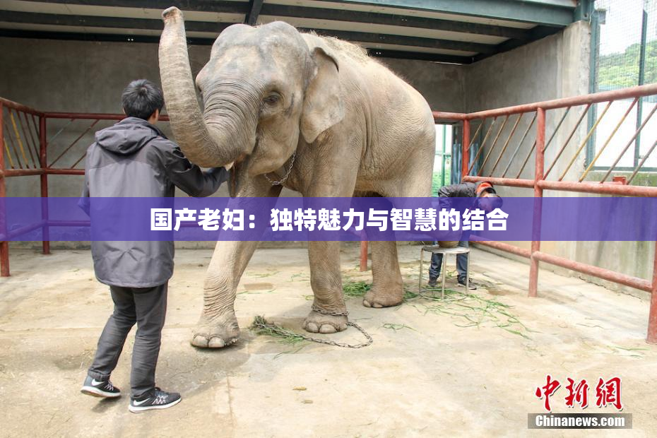 国产老妇：独特魅力与智慧的结合