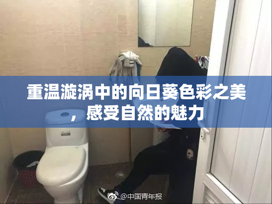 重温漩涡中的向日葵色彩之美，感受自然的魅力