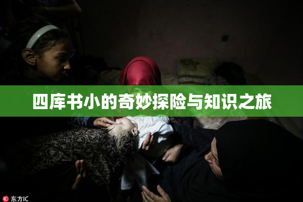 四库书小的奇妙探险与知识之旅