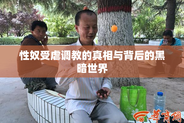 性奴受虐调教的真相与背后的黑暗世界