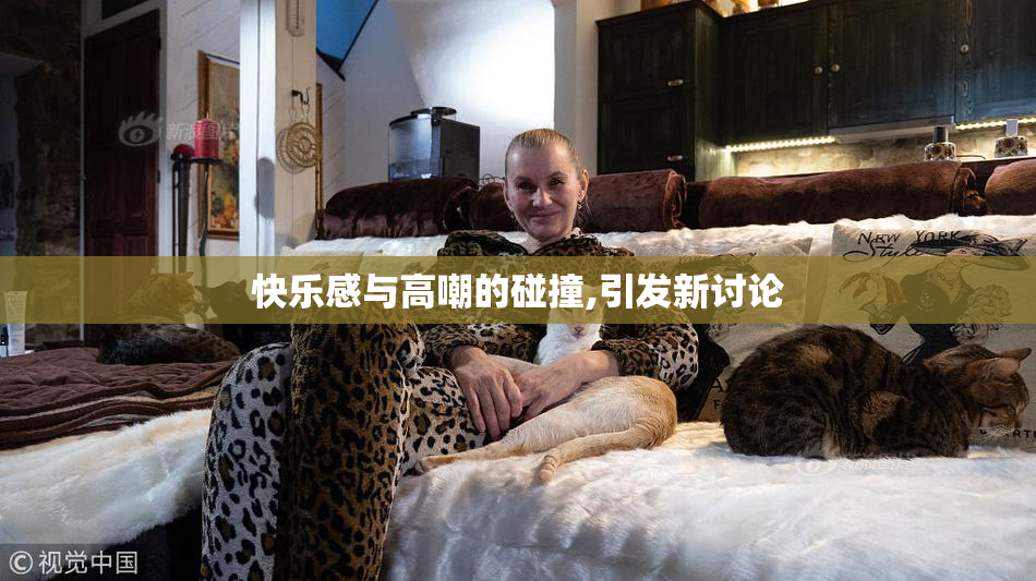 快乐感与高嘲的碰撞,引发新讨论
