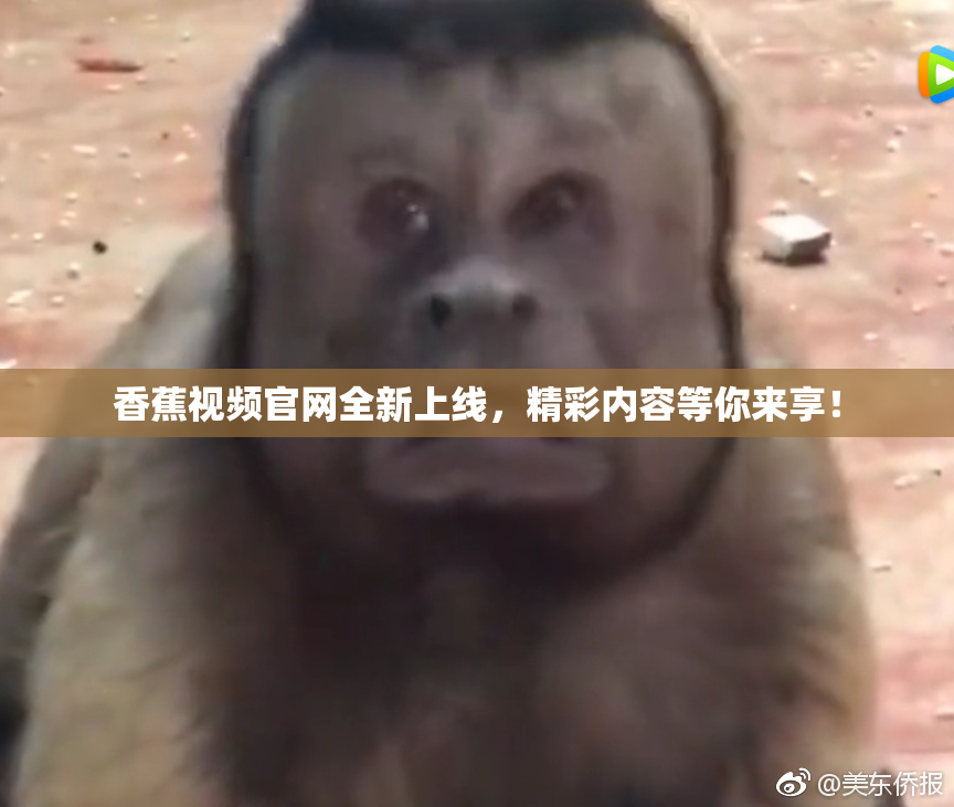 香蕉视频官网全新上线，精彩内容等你来享！