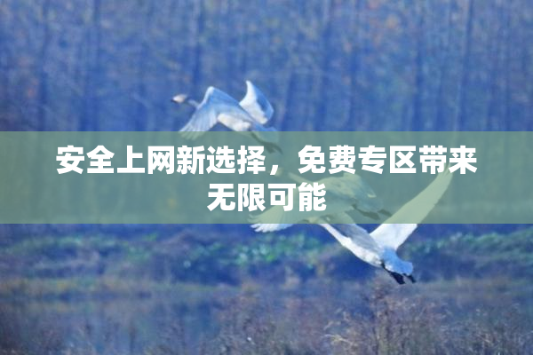 安全上网新选择，免费专区带来无限可能
