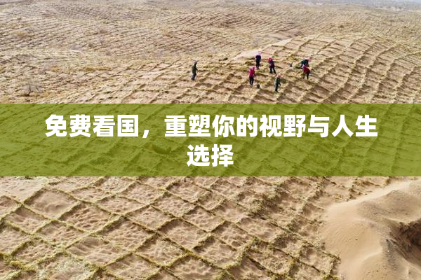 免费看国，重塑你的视野与人生选择