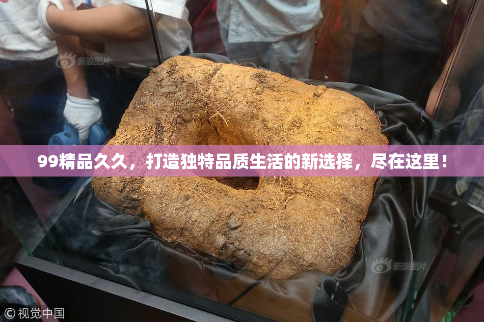 99精品久久，打造独特品质生活的新选择，尽在这里！