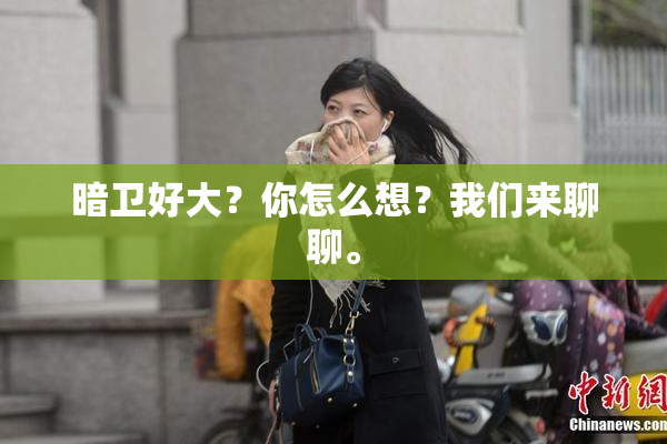 暗卫好大？你怎么想？我们来聊聊。