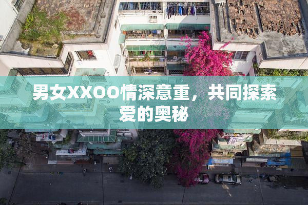 男女XXOO情深意重，共同探索爱的奥秘