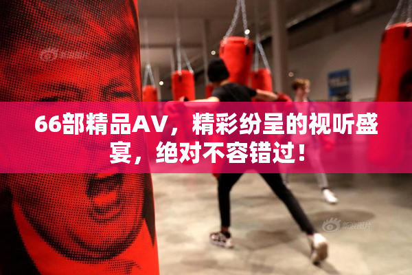 66部精品AV，精彩纷呈的视听盛宴，绝对不容错过！