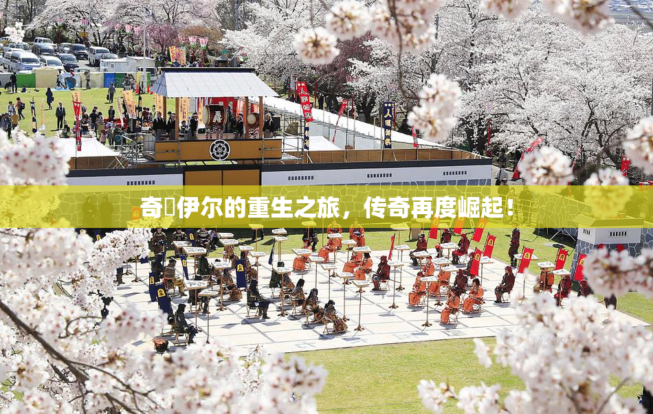 奇犽伊尔的重生之旅，传奇再度崛起！