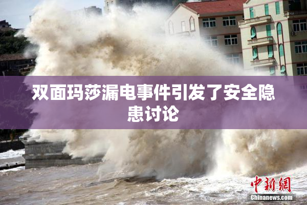 双面玛莎漏电事件引发了安全隐患讨论